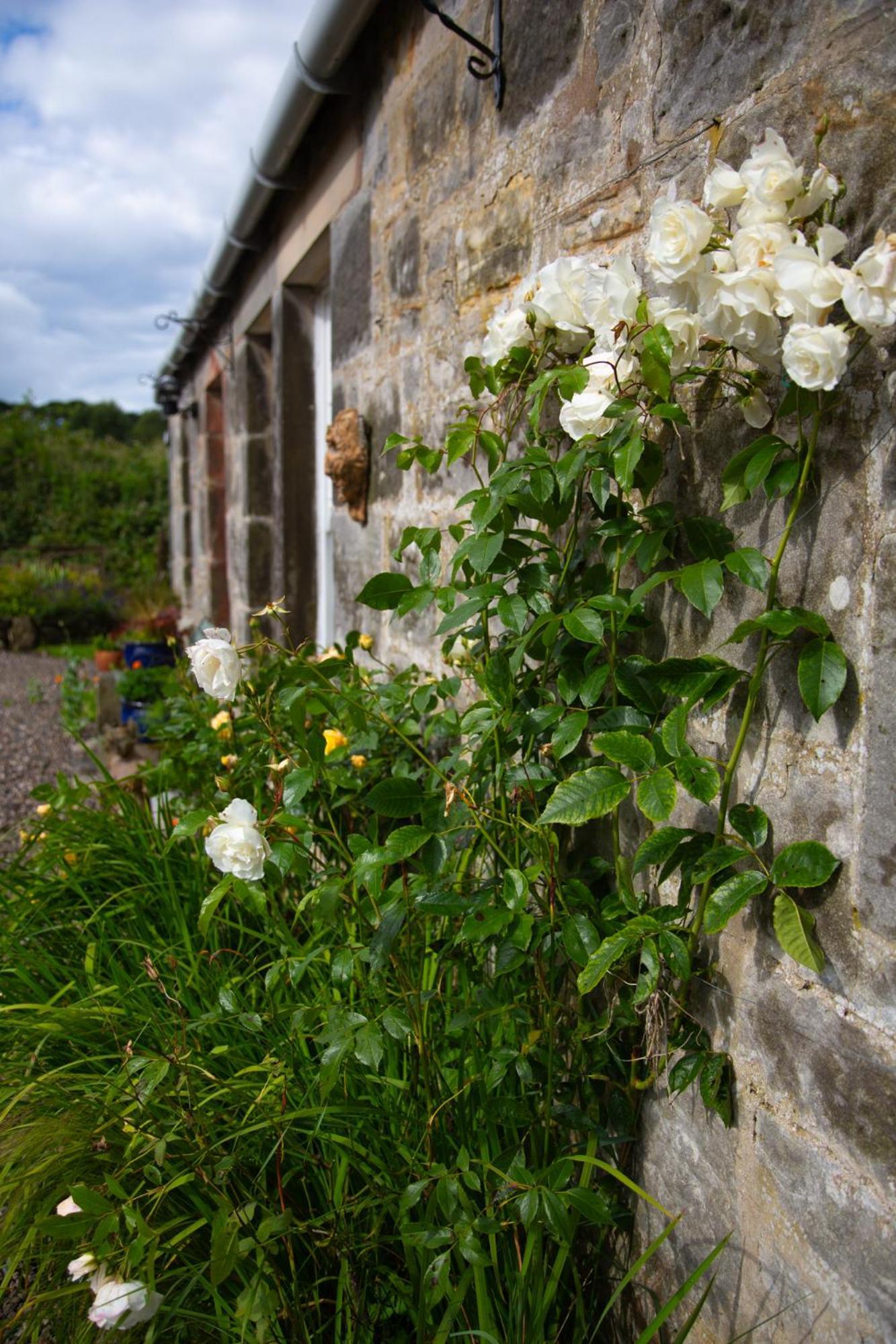Balmungo Cottage B&B เซนต์แอนดรูว์ ภายนอก รูปภาพ