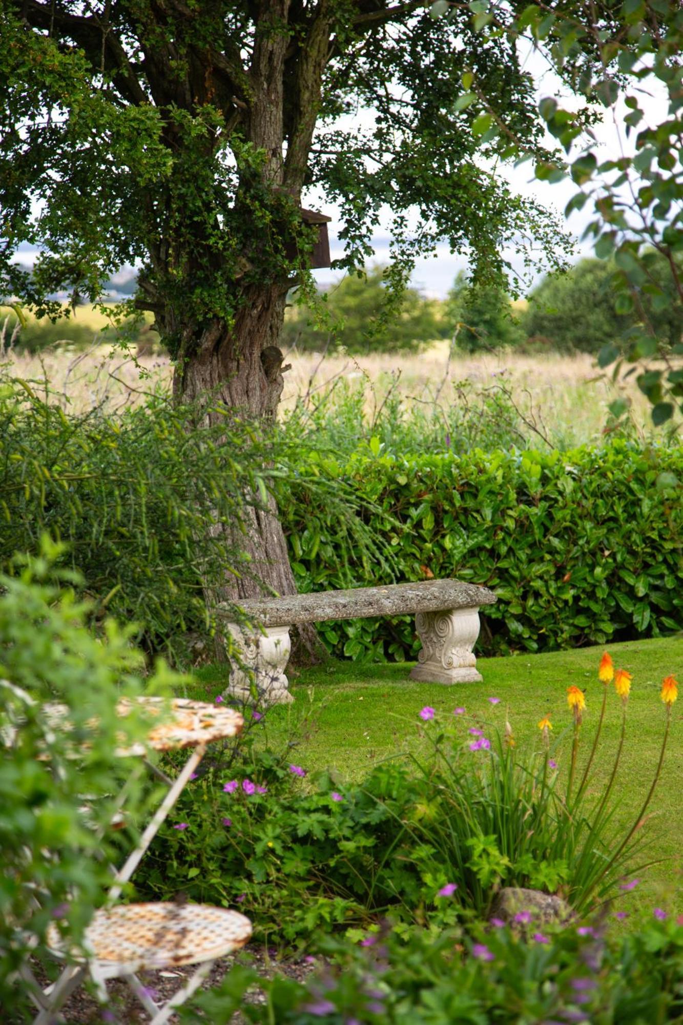 Balmungo Cottage B&B เซนต์แอนดรูว์ ภายนอก รูปภาพ
