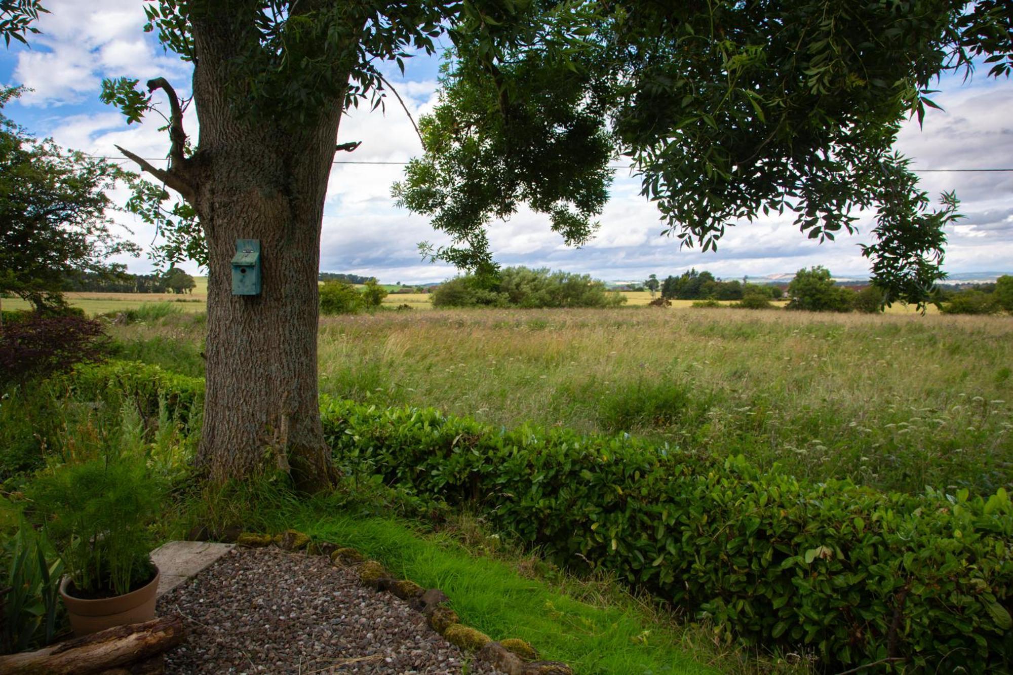 Balmungo Cottage B&B เซนต์แอนดรูว์ ภายนอก รูปภาพ