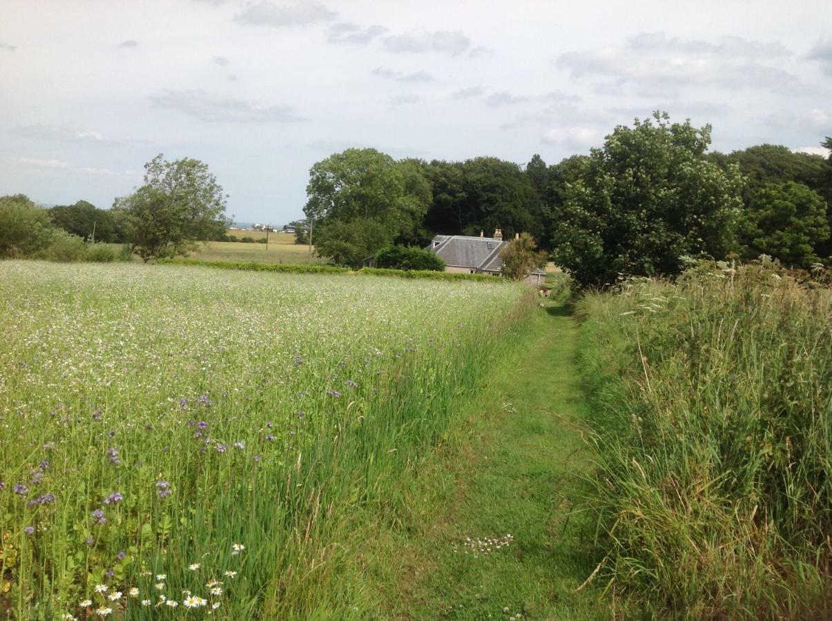 Balmungo Cottage B&B เซนต์แอนดรูว์ ภายนอก รูปภาพ